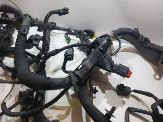 Cableado Motor 1.6 HDI 9H01