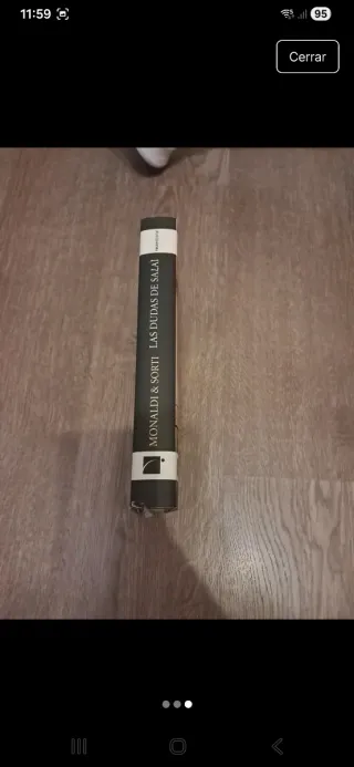 Las dudas de Salai - Monaldi y Sorti