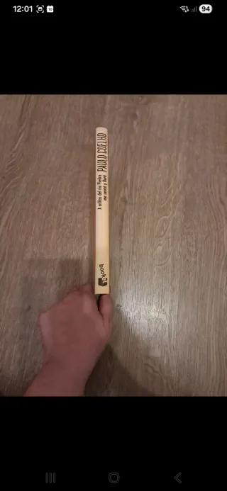 A orillas del río piedra me senté y llore - Paulo