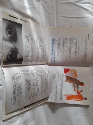 TESTIGOS DE JESUS CAMINO,VERDAD Y VIDA