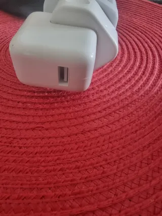 Cargador Apple con Cable USB