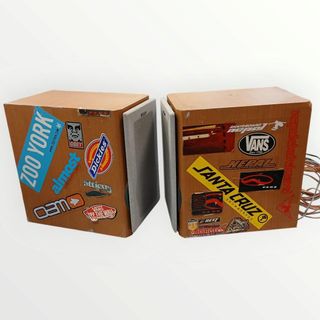 PAREJA ALTAVOCES SONY SS-CCP500