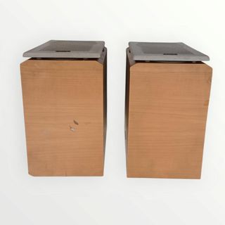 PAREJA ALTAVOCES SONY SS-CCP500