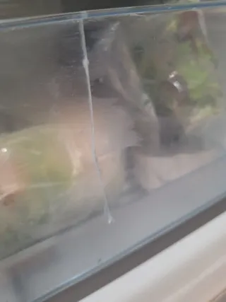 Frigorífico Combi Bosch Acero Inoxidable