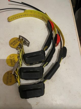 Collares Garmin T5 (3 unidades)