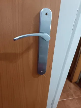 Juego 4 Puertas Madera Maciza 210x71cm