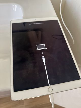 iPad Apple Plata