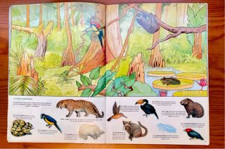 Álbum Cromos CROMOTINAS Animales y su Mundo COMPLE