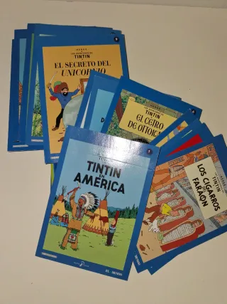 Colección Tintín DVD
