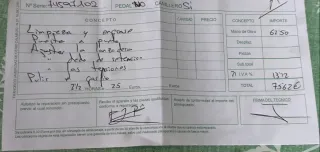 Máquina de coser Refrey profesional