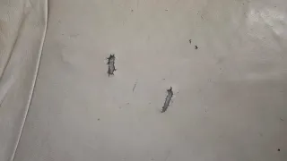 Sofá de 2 plazas de cuero beige