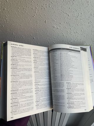 Nuevo diccionario escolar de la lengua español...