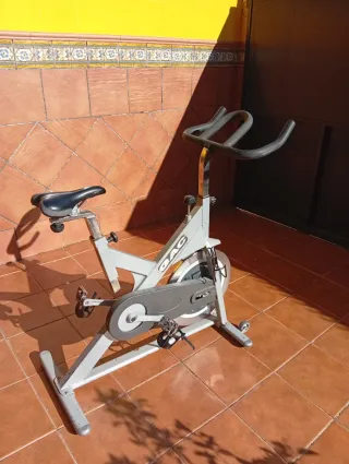 Bicicleta de Spinning....50 eusos