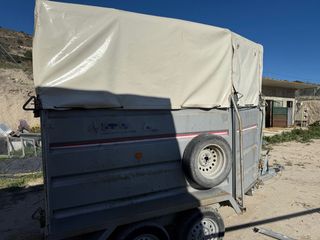 Remolque caballos buen estado