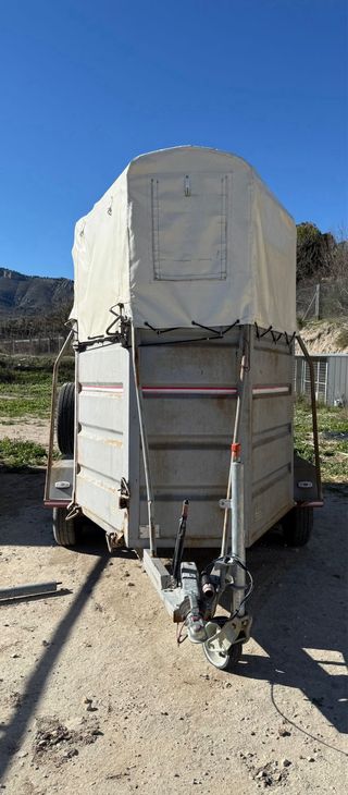 Remolque caballos buen estado