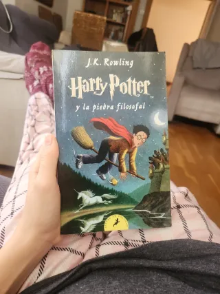 Harry Potter y la piedra filosofal (Harry Potte...