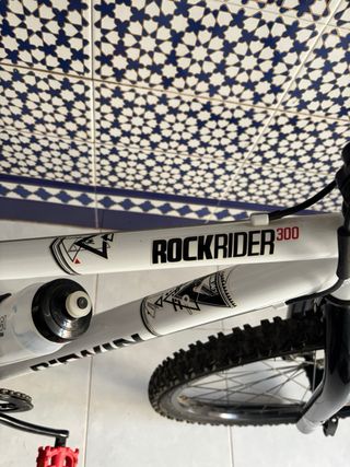 Bicicleta Infantil 24 Rockrider G-TWIN