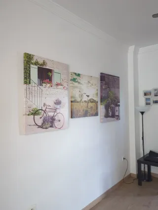 Set 3 Cuadros Decorativos Bicicleta