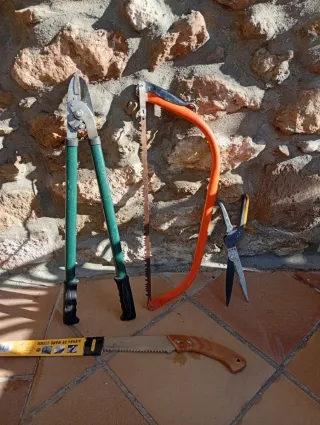 Attrezzi da potatura e taglio