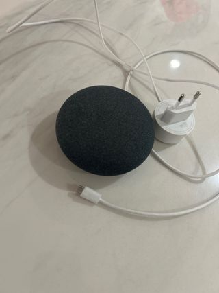 Altavoz Inteligente Google Nest Mini Gris