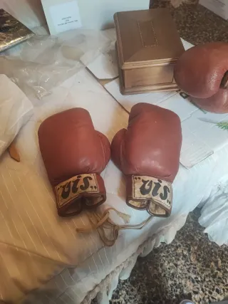 Guantoni Boxe VIS Rossi