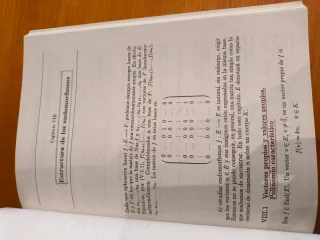 Álgebra lineal y geometría (Spanish Edition)