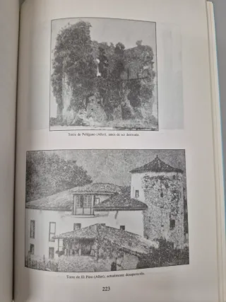 Torres señoriales de la Baja Edad Media asturiana