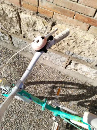 Bicicleta Clásica Vintage