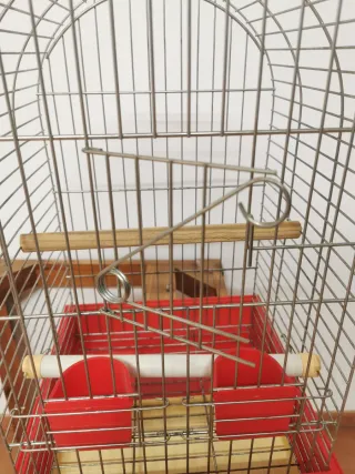 Jaula para ninfas y cotorras