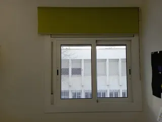 Estor enrollable verde lima