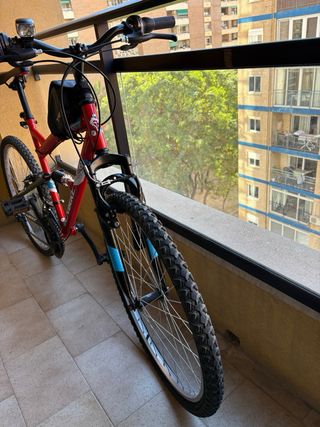 Bicicleta Montaña Adultos