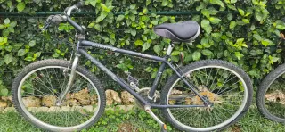 Bicicleta Monty Adulto
