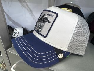 Gorra Goorin Bros Cuervo Azul y Blanca
