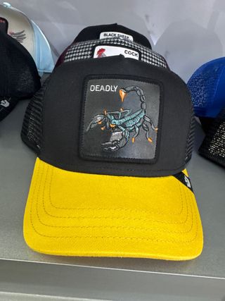 Gorra Goorin Bros Escorpión Negra y Amarilla