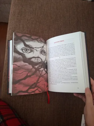 Rimas y leyendas (Clásicos ilustrados) (Spanish...