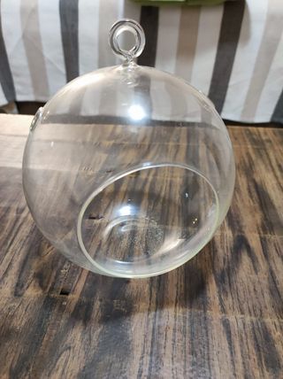 Terrario de cristal colgante