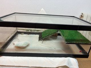 Tortuguera / Terrario para reptiles