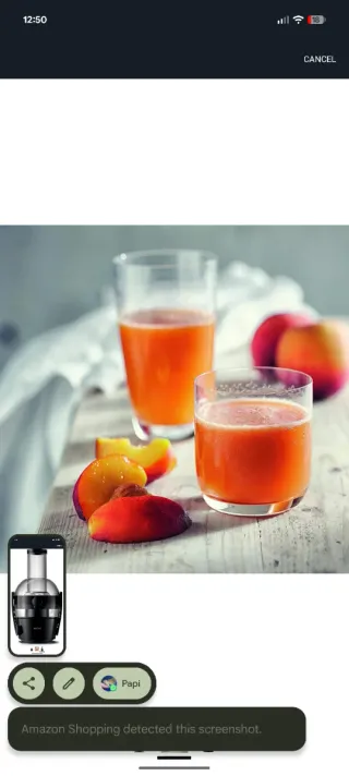 Extractor Jugos Philips Viva HR1855 800W