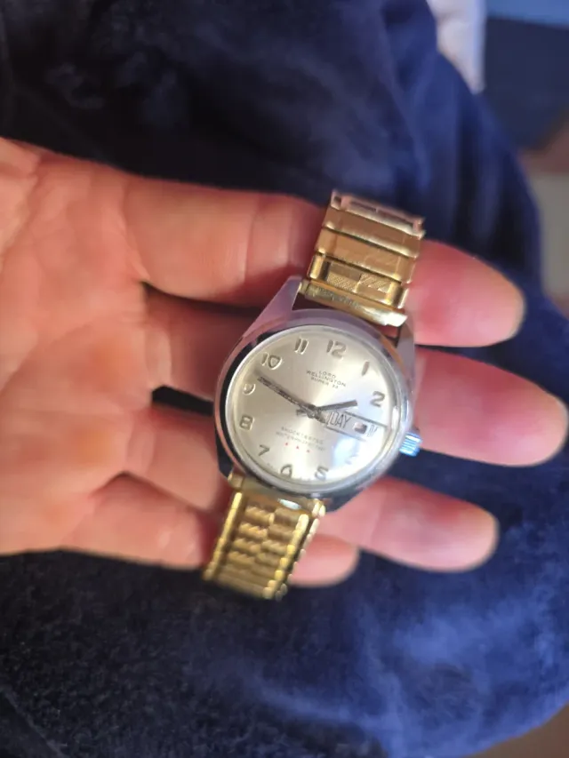 Reloj Lord Wellington para piezas