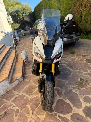 Moto Honda X-ADV 2023 Blanca