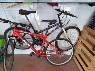 2 Bicicletas Montaña GT y Nevada.Cada una 40 euros