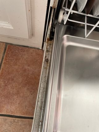 Lavavajillas Miele Blanco