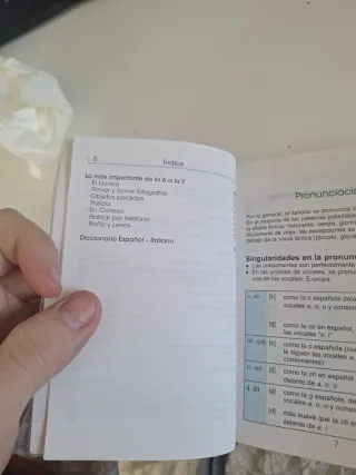 Diccionario y Guía de Italiano