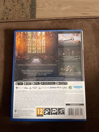 Hogwarts Legacy PS5