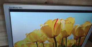 Monitor Samsung 19 pulgadas