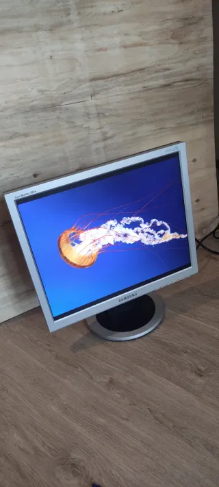 Monitor Samsung 19 pulgadas