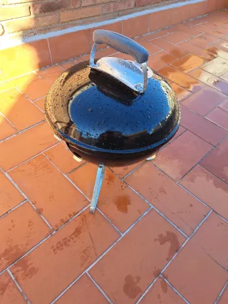 Barbacoa Weber Portatile Nero e Argento