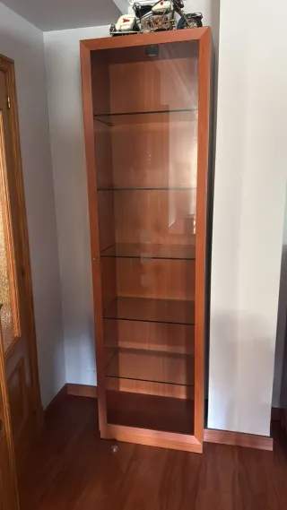 Vetrina in legno e vetro con luce