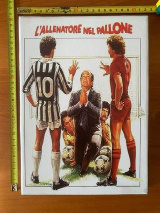 Quadro del film “L'allenatore nel pallone”