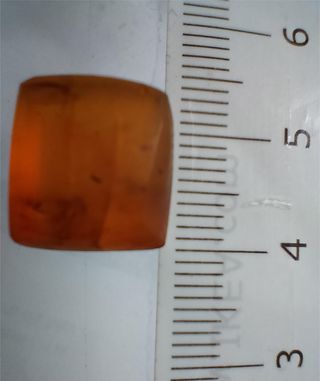 Ámbar Fósil Birmano Cretácico